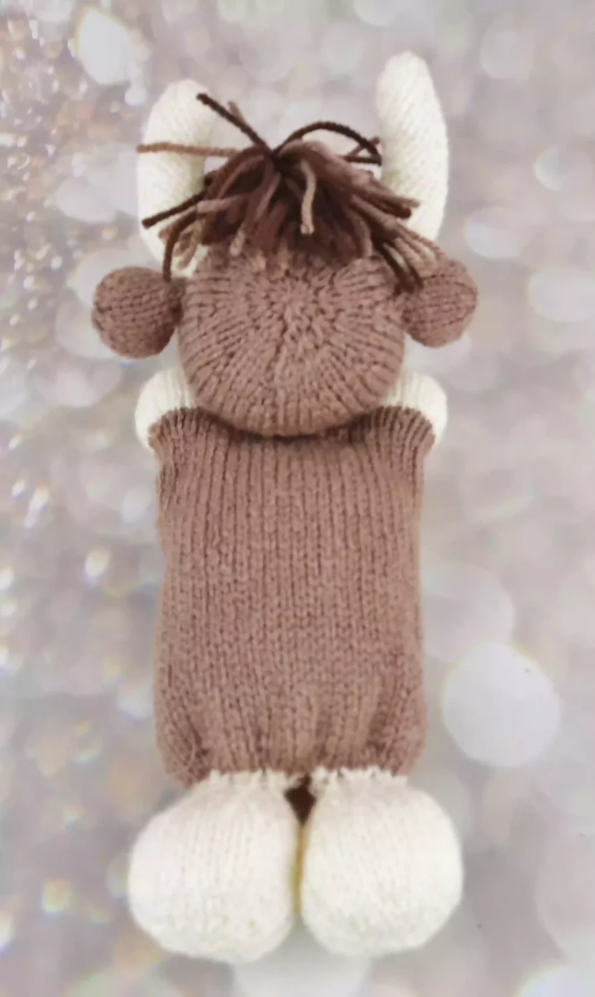 back of highland cow