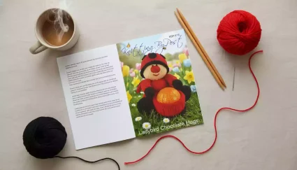 618-knitted-ladybird-chocolate-hug-toy-flatlay