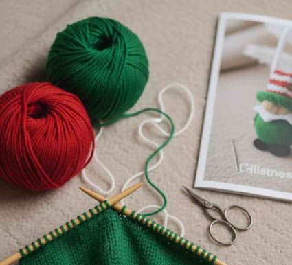 Knibbles_Christmas_Elf_lifestyle_wip