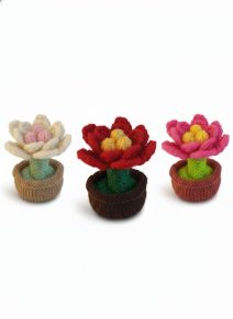 KBP-623 Knibbles Poinsettia Group White Background