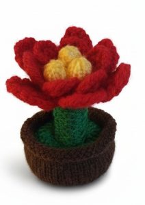 KBP-623 Knibbles Poinsettia White Background